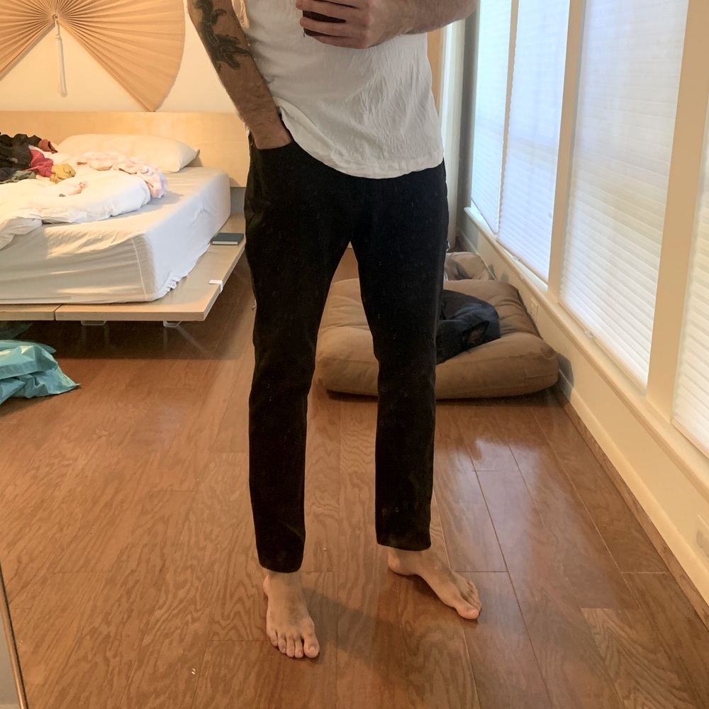 Everlane Chinos